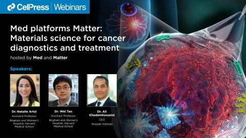 Med platforms Matter: Materials science for cancer diagnostics and treatment