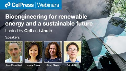 Bioengineering for renewable energy and a sustainable future