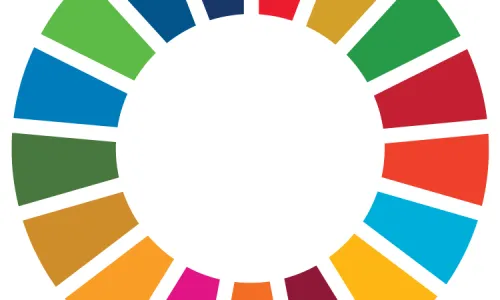 UN SDG