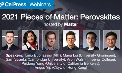2021 Pieces of Matter: Perovskites