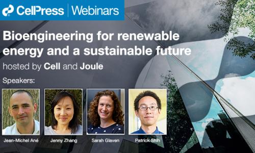 Bioengineering for renewable energy and a sustainable future