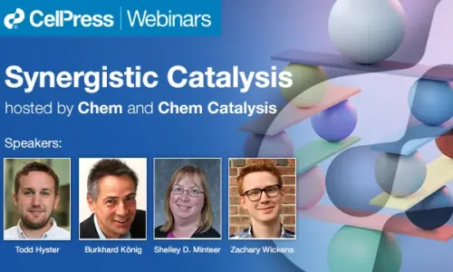 Synergistic Catalysis